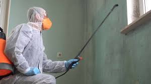 Best Mold Remediation for Rental Properties  in Brandywine, MD